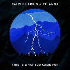 This Is What You Came For – Calvin Harris feat. Rihanna